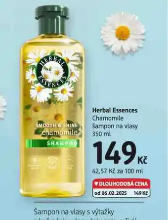 dm drogerie Herbal essences šampon nabídka