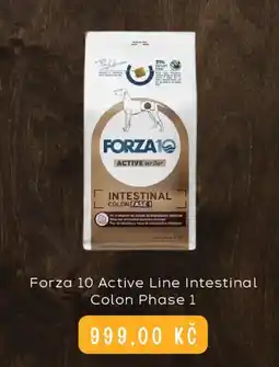 Zoohit Forza 10 Active Line Intestinal Colon Phase 1 nabídka