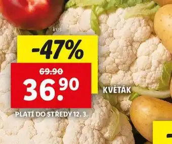 Lidl Květák nabídka