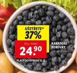 Lidl Kanadské borůvky nabídka