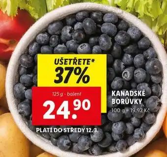 Lidl Kanadské borůvky nabídka