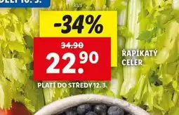Lidl Řapíkatý celer nabídka