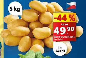 Lidl Brambory přílohové nabídka