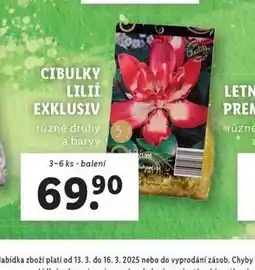 Lidl Cibulky lilií exkluziv nabídka