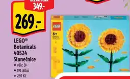 Albert LEGO® Botanicals 40524 Slunečnice nabídka