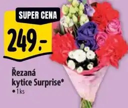 Albert Řezaná kytice Surprise nabídka