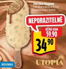 Albert Zmrzlina Magnum nabídka