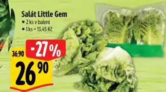 Albert Salát Little Gem nabídka
