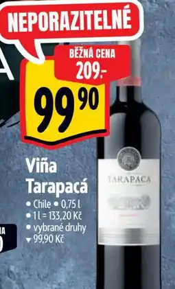 Albert Viña Tarapacá nabídka