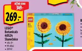 Albert LEGO® Botanicals 40524 Slunečnice nabídka