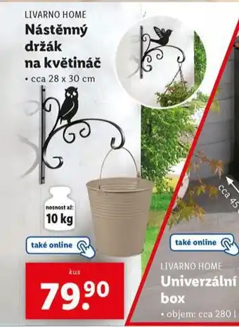 Lidl Nástěnný držák na květináč nabídka