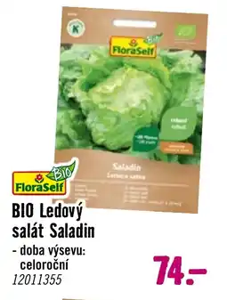 Hornbach BIO Ledový salát Saladin nabídka