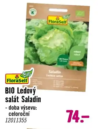 Hornbach BIO Ledový salát Saladin nabídka