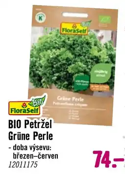 Hornbach BIO Petržel Grüne Perle nabídka