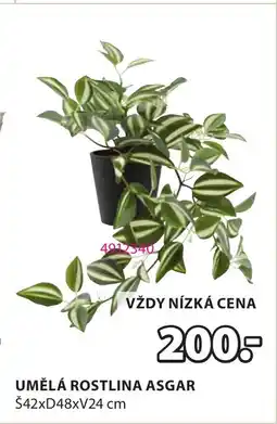 JYSK Umělá rostlina asgar nabídka