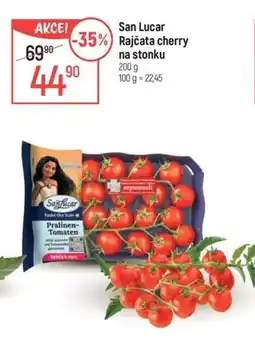 Globus San Lucar Rajčata cherry na stonku nabídka