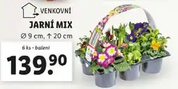 Lidl JARNÍ MIX, 6 ks nabídka