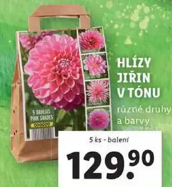 Lidl HLÍZY JIŘIN V TÓNU, 5 ks nabídka