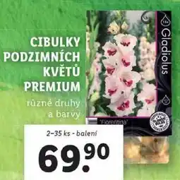 Lidl CIBULKY PODZIMNÍCH KVĚTŮ PREMIUM, 2-35 ks nabídka