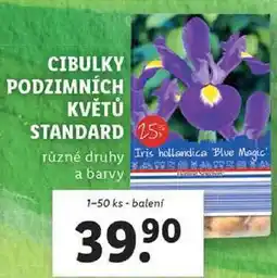 Lidl CIBULKY PODZIMNÍCH KVĚTŮ STANDARD, 1-50 ks nabídka