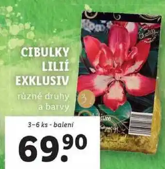 Lidl CIBULKY LILIÍ EXKLUSIV, 3-6 ks nabídka