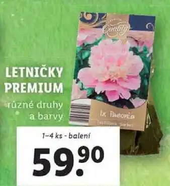 Lidl LETNIČKY PREMIUM, 1-4 ks nabídka