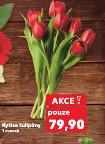 Kaufland Kytice tulipány nabídka