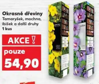 Kaufland Okrasné dřeviny nabídka