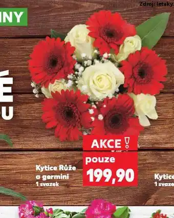 Kaufland Kytice růže a germiny nabídka