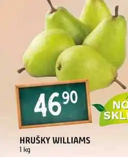 Terno Hrušky williams 1kg nabídka