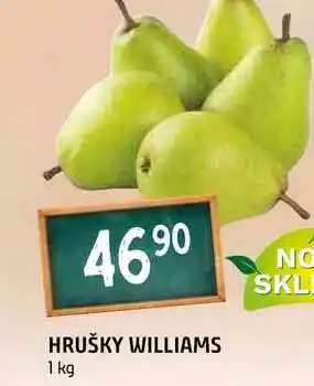 Terno Hrušky williams 1kg nabídka