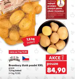 Kaufland Brambory žluté pozdní XXL prané nabídka