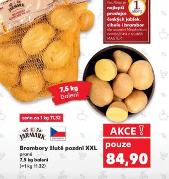 Kaufland Brambory žluté pozdní XXL prané nabídka