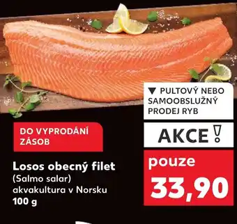 Kaufland Losos obecný filet nabídka