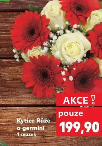 Kaufland Kytice Růže a germini nabídka