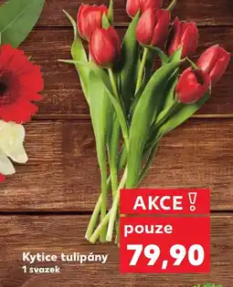 Kaufland Kytice tulipány nabídka