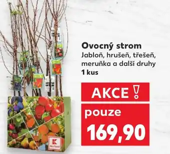 Kaufland Ovocný strom nabídka