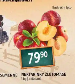 Terno Nektarinky žlutomasé nabídka