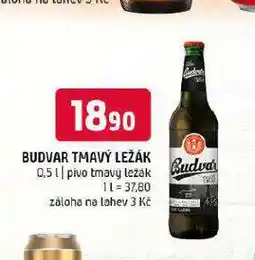 Terno Pivo budvar nabídka