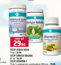 Terno Ginkgo biloba nabídka