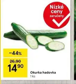 Tesco Okurka hadovka nabídka