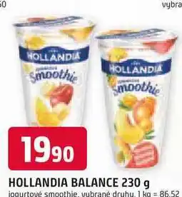 Trefa HOLLANDIA BALANCE 230 g jogurtové smoothie nabídka