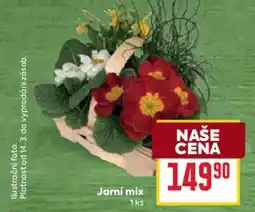 Billa Jarní mix nabídka