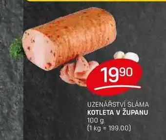 Flop KOTLETA V ŽUPANU 100 g nabídka