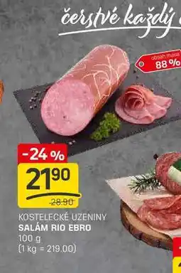 Flop SALÁM RIO EBRO 100 g nabídka