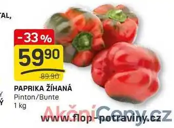 Flop PAPRIKA ŽÍHANÁ Pinton/Bunte 1 kg nabídka