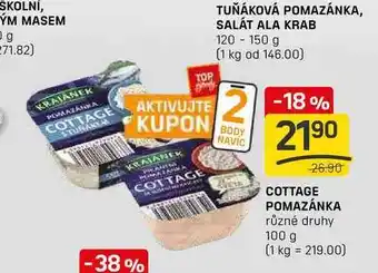 Flop COTTAGE POMAZÁNKA různé druhy 100 g nabídka