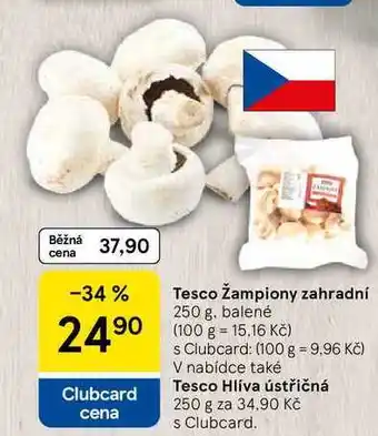 Tesco Tesco žampiony zahradní, 250 g. balené nabídka