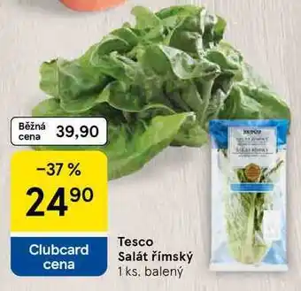 Tesco Tesco Salát římský, 1 ks, balený nabídka