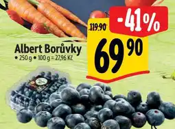 Albert Albert Borůvky 250 g nabídka